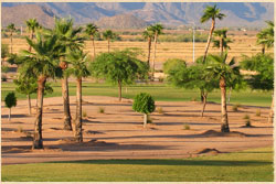 Golf Courses